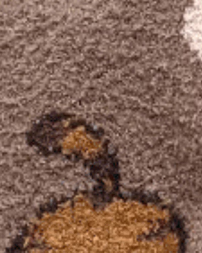 کرم قهوه ای